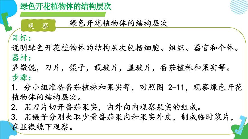 【核心素養(yǎng)】蘇教版（2024）生物七年級上冊 1.2.3 多細胞生物（教學課件）第8頁
