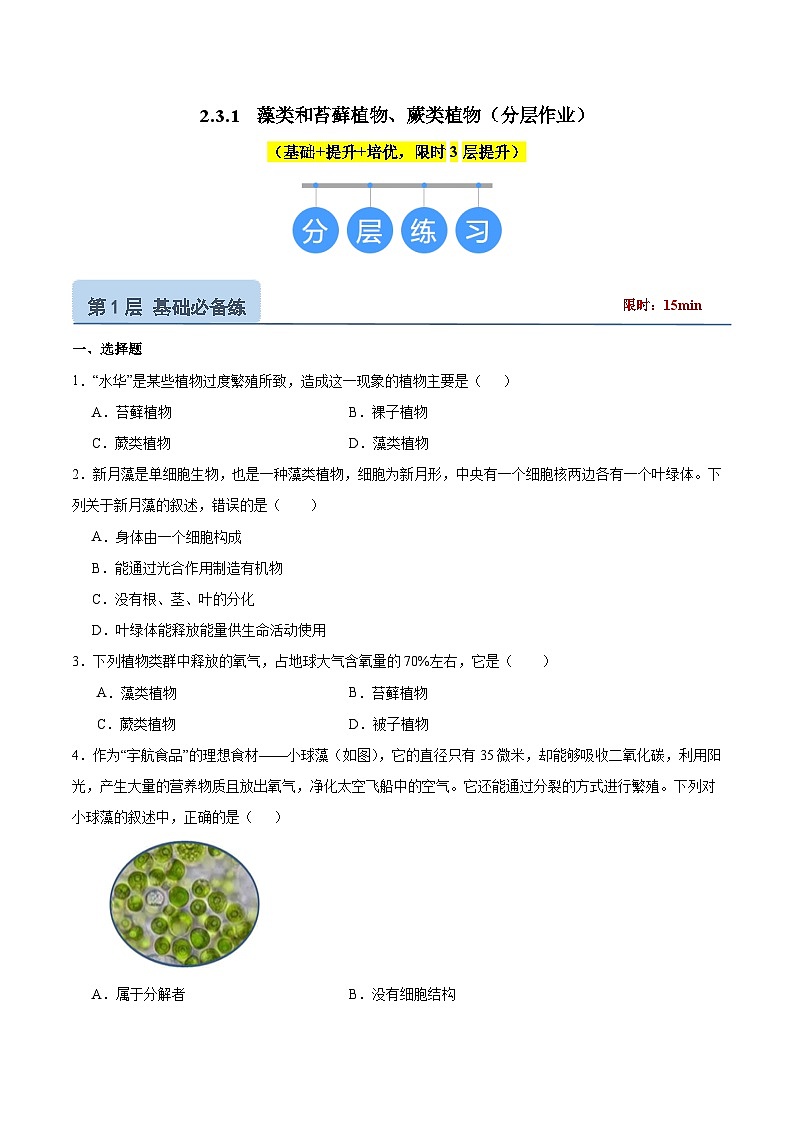 【核心素养】苏教版(2024)生物七年级上册 2.3.1 藻类和苔藓植物、蕨类植物(教学课件+同步练习)01