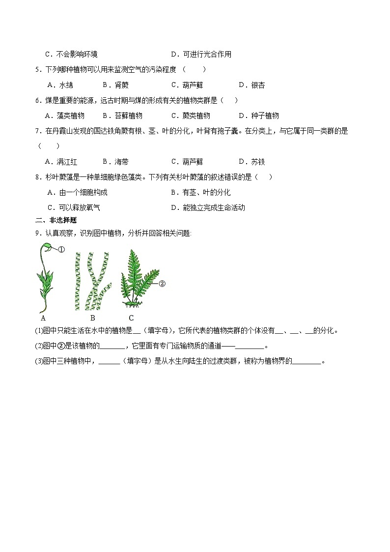 【核心素养】苏教版(2024)生物七年级上册 2.3.1 藻类和苔藓植物、蕨类植物(教学课件+同步练习)02
