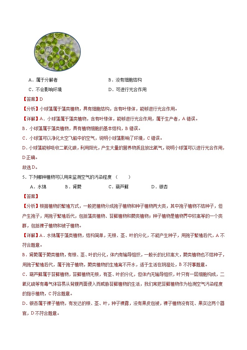 【核心素养】苏教版(2024)生物七年级上册 2.3.1 藻类和苔藓植物、蕨类植物(教学课件+同步练习)03