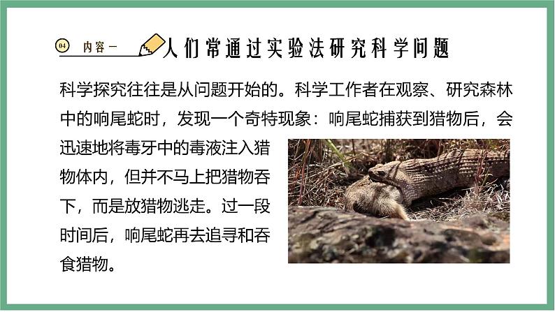 【北师大版】七上生物 1.1.3生物学研究的基本方法 课件06