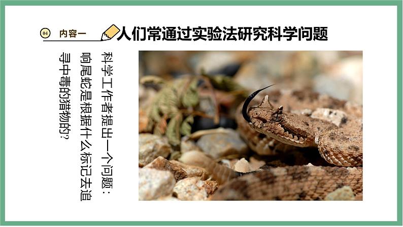 【北师大版】七上生物 1.1.3生物学研究的基本方法 课件07