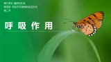 【北师大版】七上生物  3.4.2呼吸作用  課件