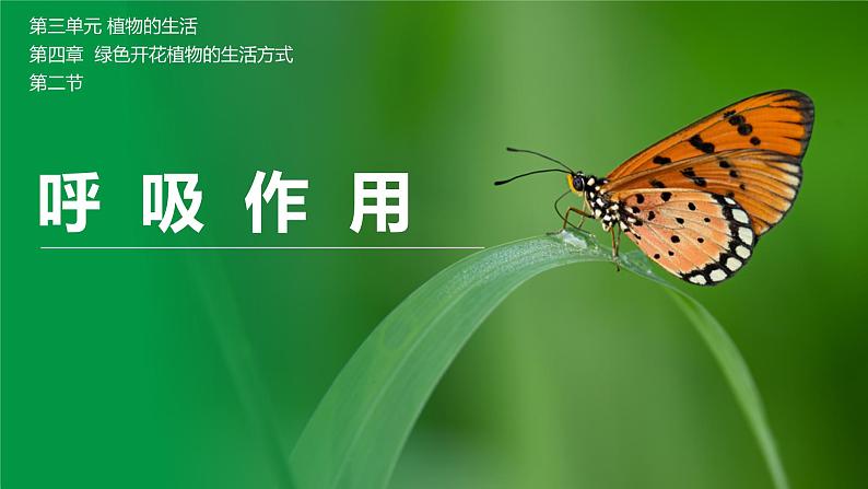 【北师大版】七上生物 3.4.2呼吸作用 课件第1页