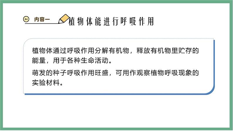 【北师大版】七上生物 3.4.2呼吸作用 课件第7页