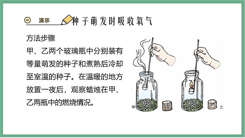 【北师大版】七上生物 3.4.2呼吸作用 课件第8页