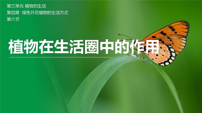 【北师大版】七上生物 3.4.6植物在生物圈中的作用 课件01
