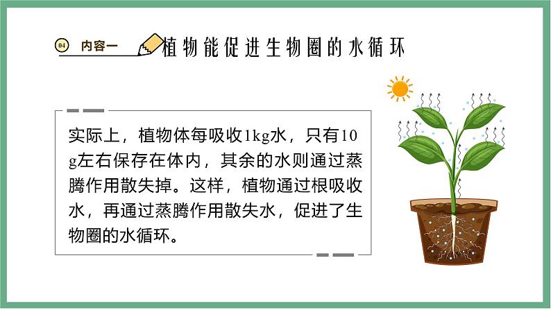 【北师大版】七上生物 3.4.6植物在生物圈中的作用 课件08