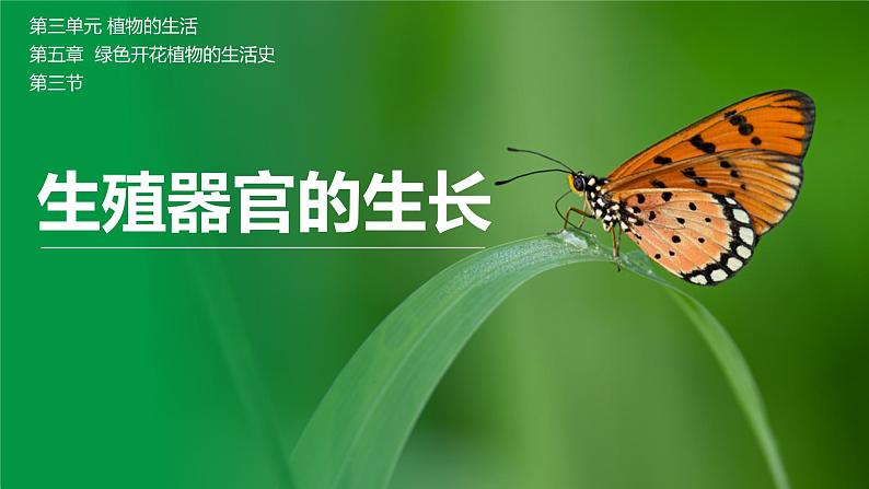 【北师大版】七上生物 3.5.3生殖器官的生长 课件01