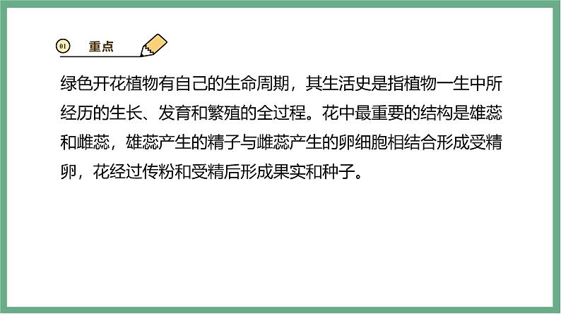 【北师大版】七上生物 3.5.3生殖器官的生长 课件03