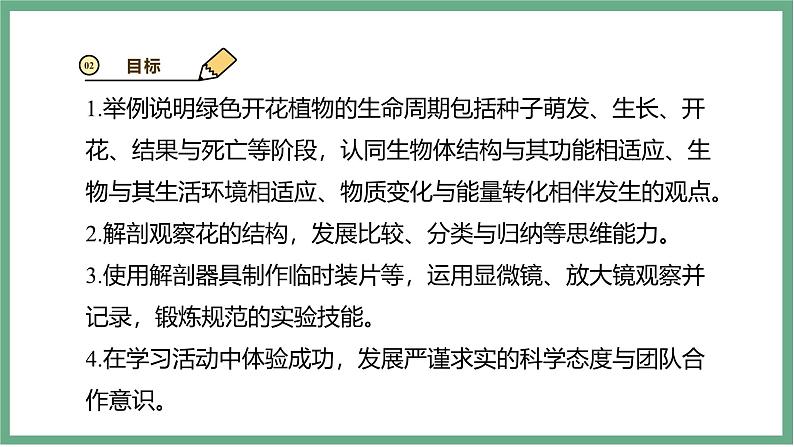 【北师大版】七上生物 3.5.3生殖器官的生长 课件05