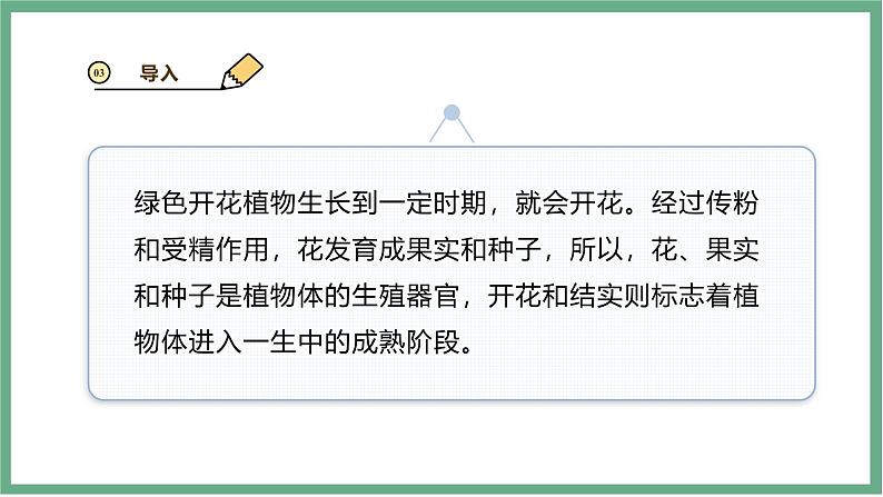 【北师大版】七上生物 3.5.3生殖器官的生长 课件06