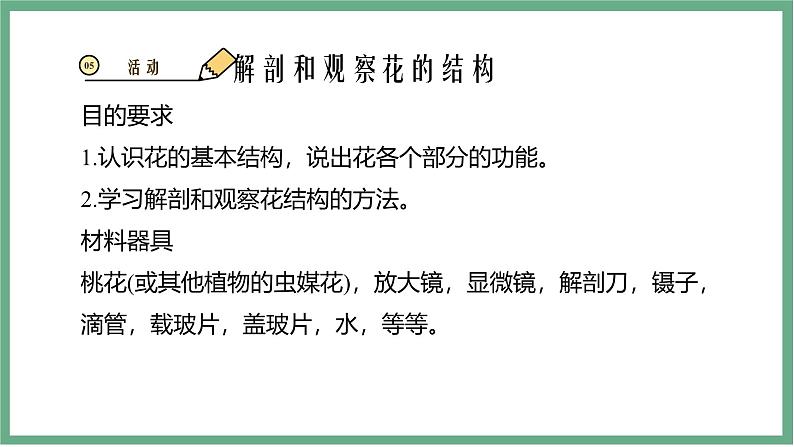 【北师大版】七上生物 3.5.3生殖器官的生长 课件08