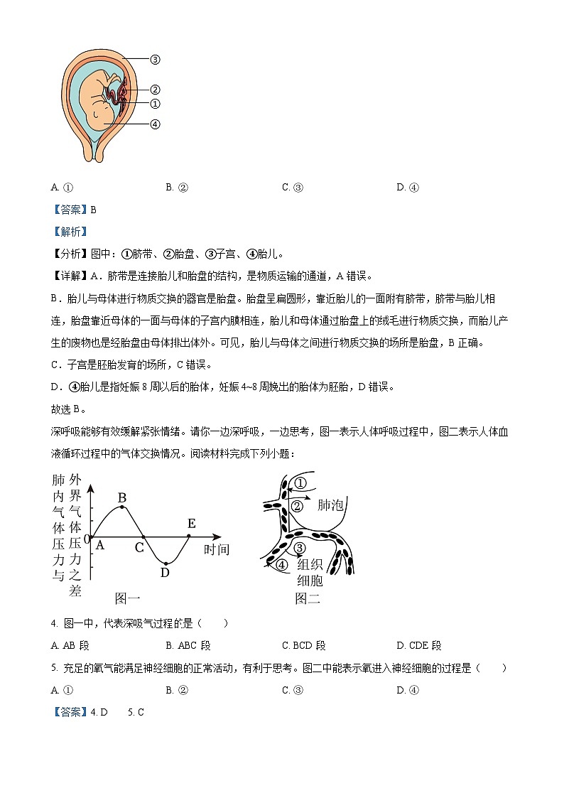 山西省临汾市翼城县2023-2024学年七年级下学期期末生物学试题(解析版)第2页