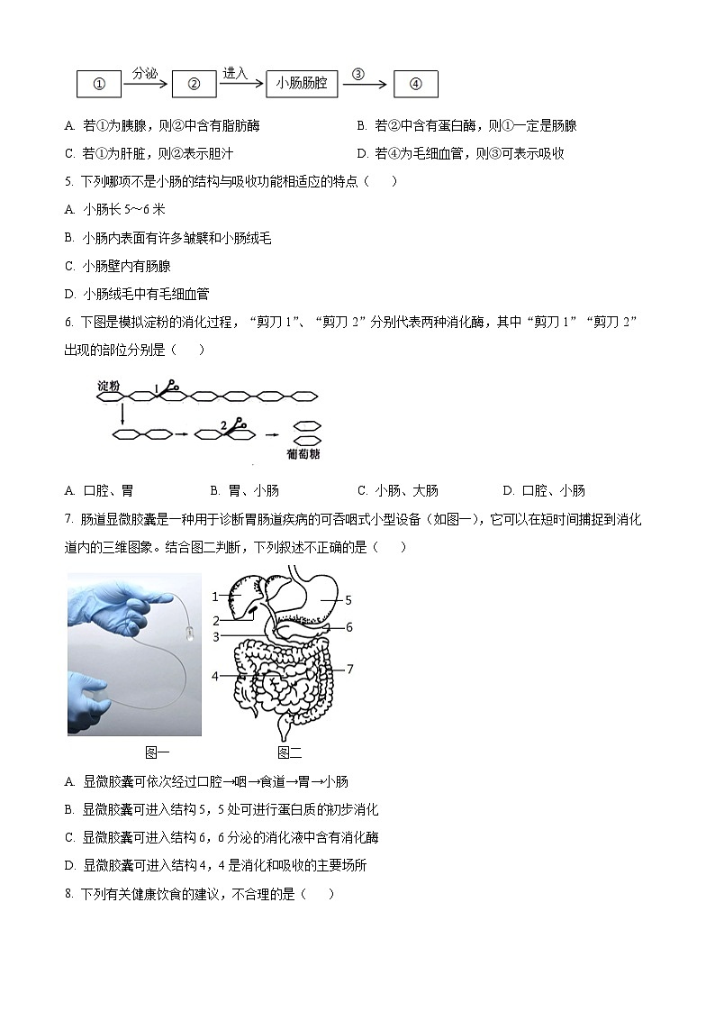 河北省保定市竞秀区2023-2024学年七年级下学期期末生物学试题(原卷版)第2页