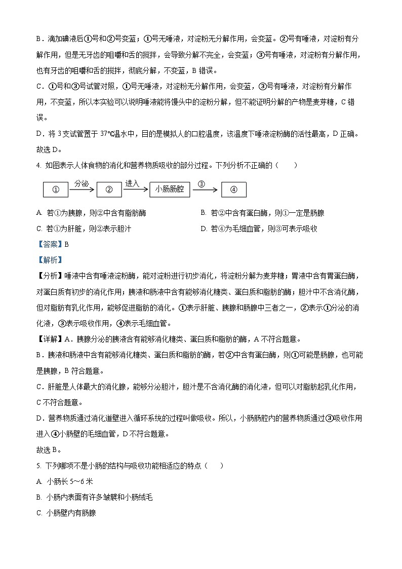 河北省保定市竞秀区2023-2024学年七年级下学期期末生物学试题(解析版)第3页