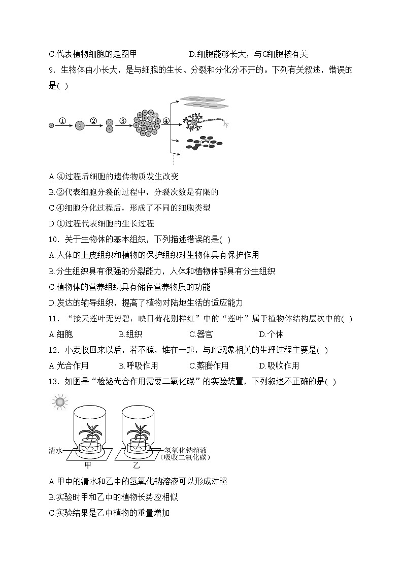 河南省安阳市滑县2023-2024学年七年级上学期期中调研生物试卷(含答案)第2页