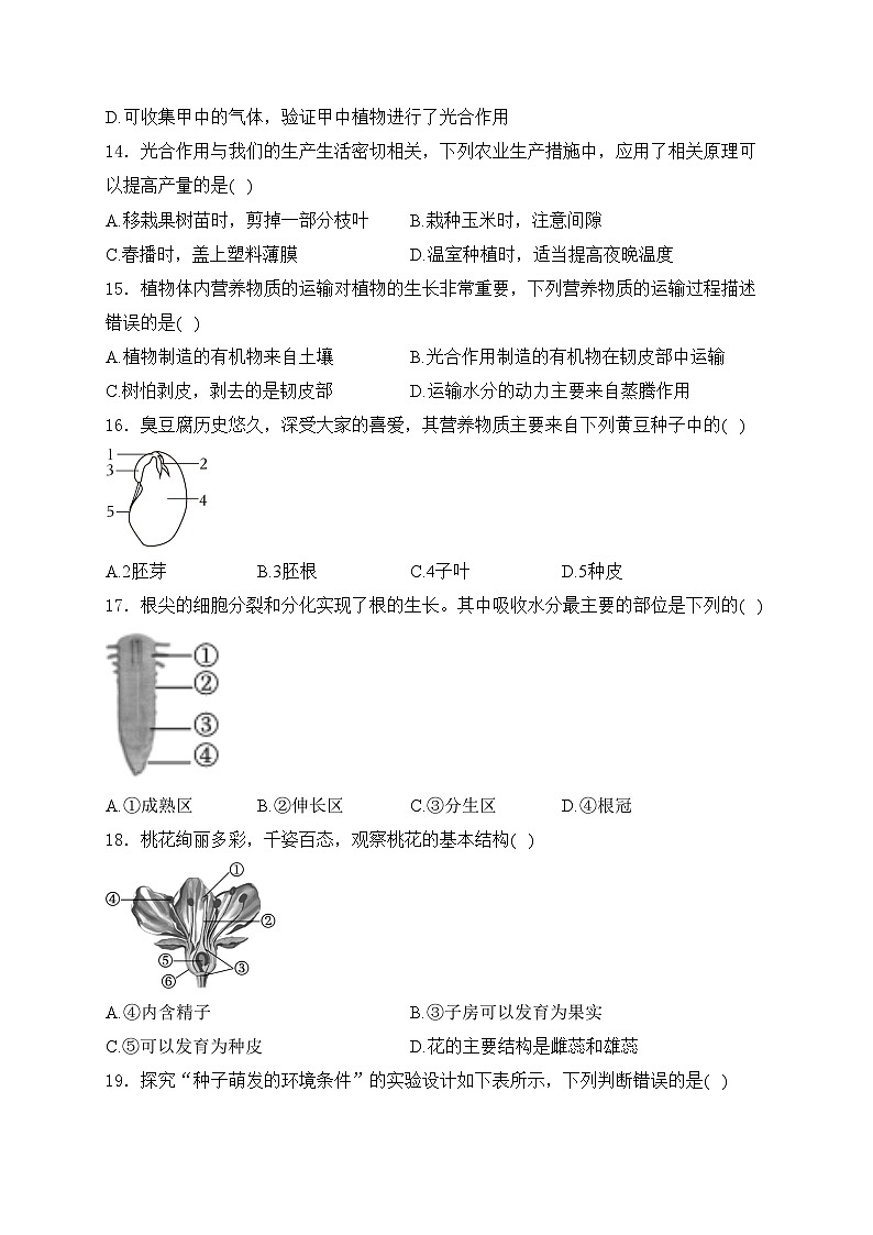 河南省安阳市滑县2023-2024学年七年级上学期期中调研生物试卷(含答案)第3页