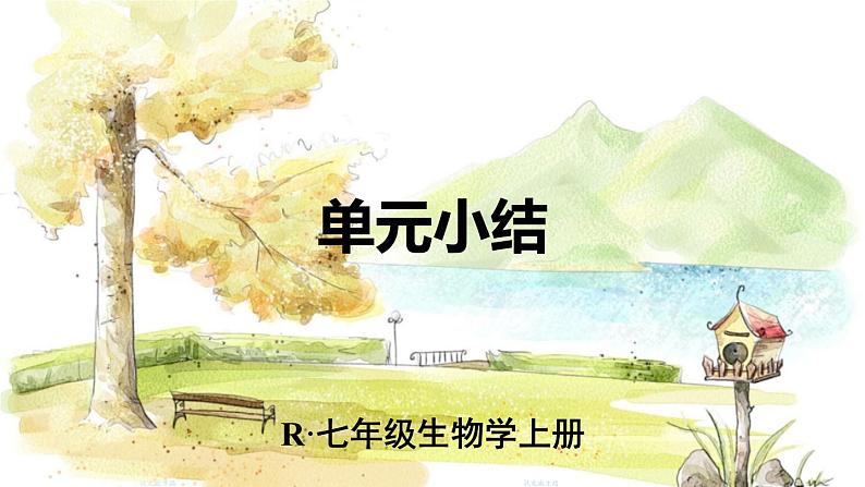人教2024版生物七年级上册 第一单元 单元小结 PPT课件01