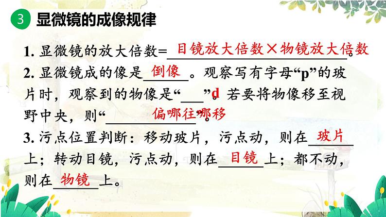 人教2024版生物七年级上册 第一单元 单元小结 PPT课件08