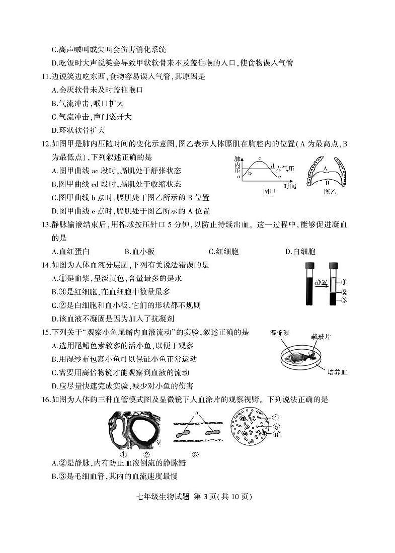 山东省临沂市费县2023-2024学年七年级下学期期末考试生物试题03