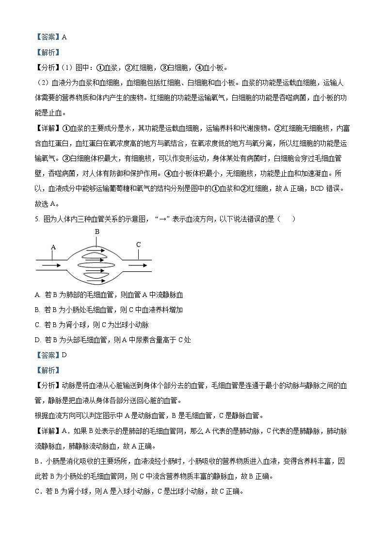 河北省保定市顺平县2023-2024学年七年级下学期期末生物学试题(解析版)03