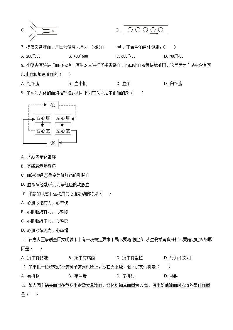 广东省湛江市雷州市2023-2024学年七年级下学期期末生物学试题(原卷版)第2页