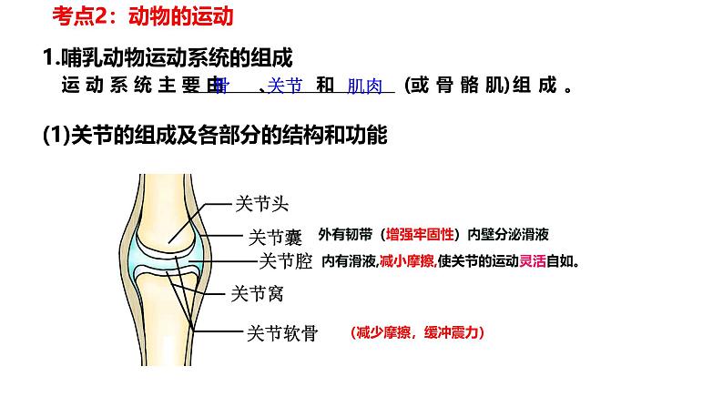 【人教版八上生物期中复习考点梳理+临考押题】第二、三章 动物的运动和行为及其在生物圈中的作用(串讲课件)05