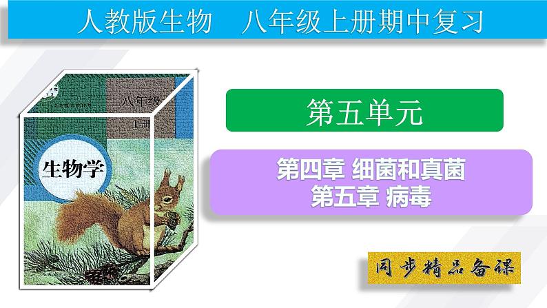 【人教版八上生物期中复习考点梳理+临考押题】第四、五章 细菌、真菌和病毒(串讲课件)02