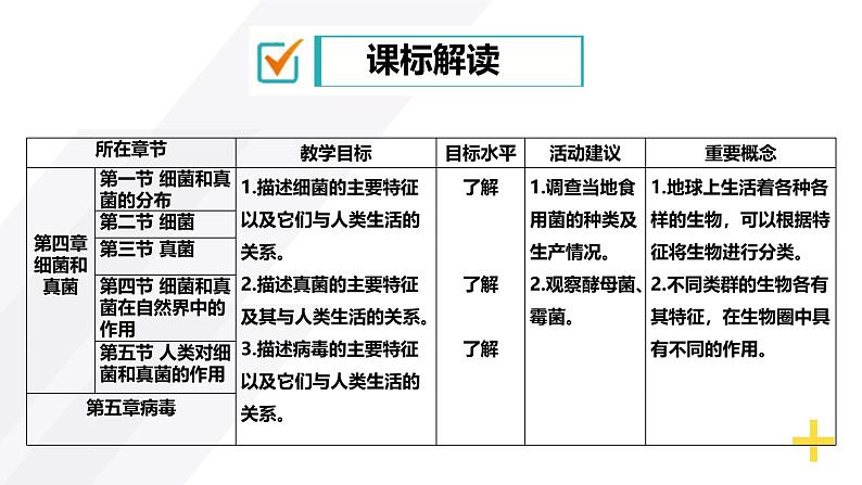 【人教版八上生物期中复习考点梳理+临考押题】第四、五章 细菌、真菌和病毒(串讲课件)03