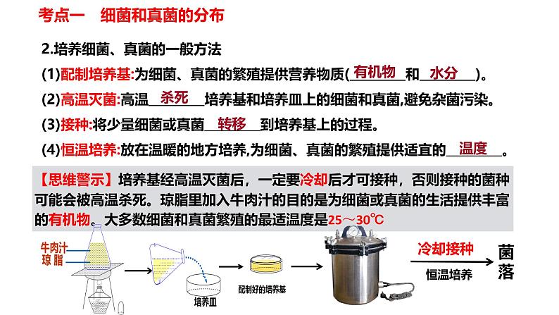 【人教版八上生物期中复习考点梳理+临考押题】第四、五章 细菌、真菌和病毒(串讲课件)06