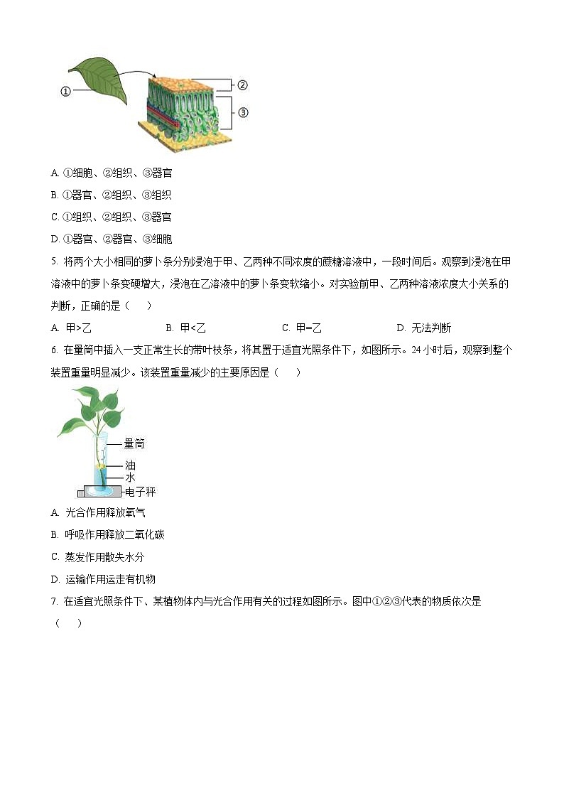 2024年四川省成都市中考生物试题(2份打包,原卷版+解析版)02
