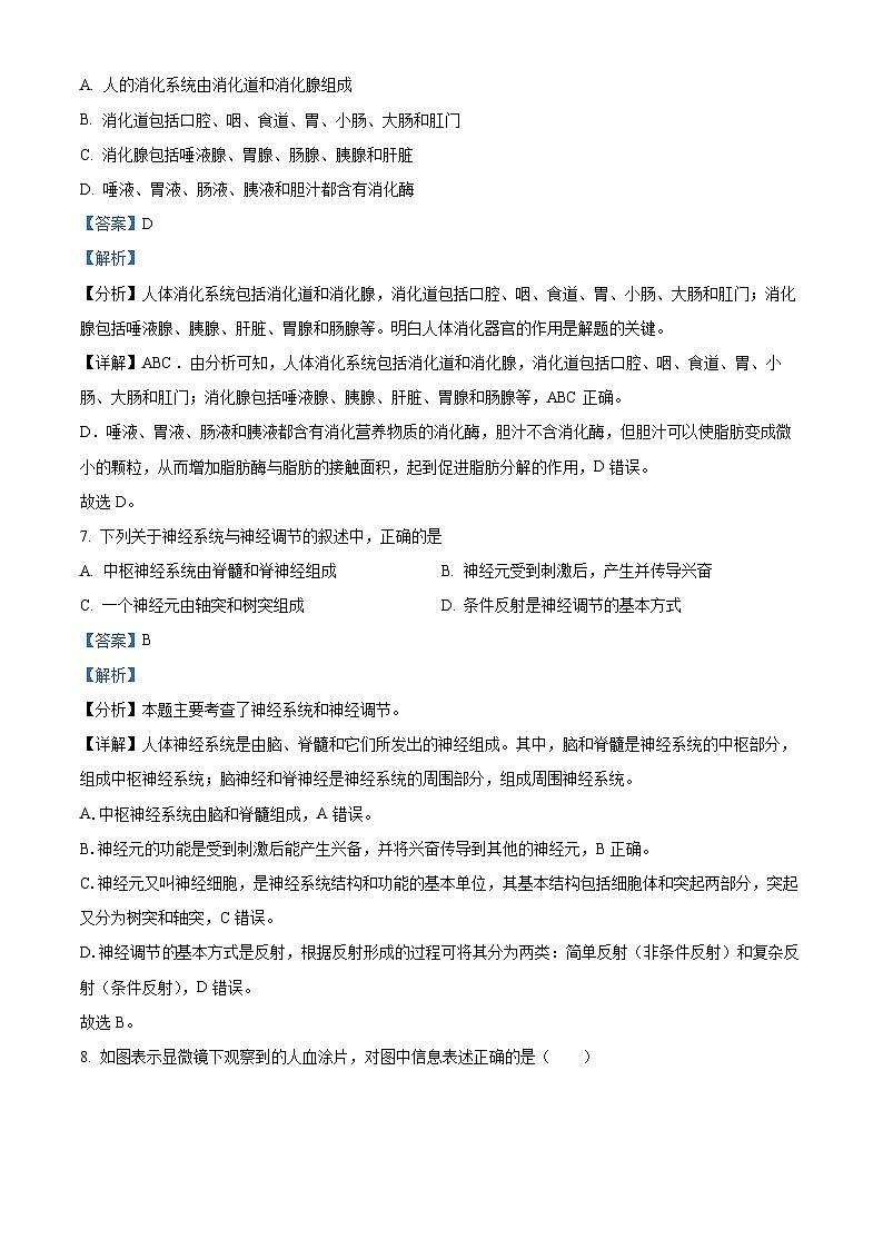 甘肃省武威市凉州区2023-2024学年七年级下学期期末生物试题(解析版)第3页