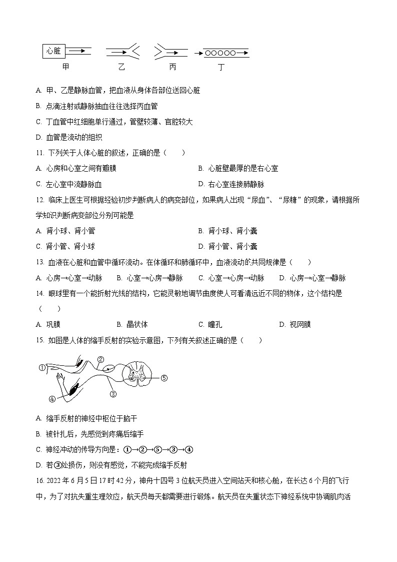 吉林省吉林市樺甸市2023-2024學年七年級下學期期末生物學試題（原卷版）第3頁