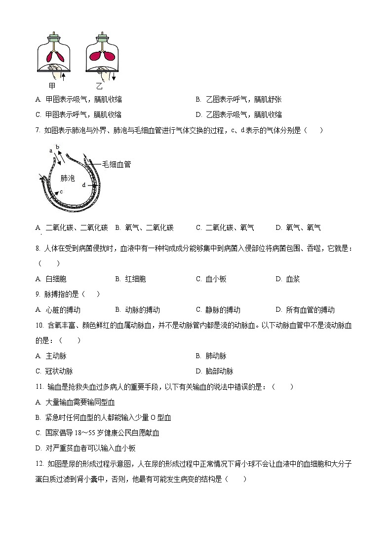 湖北省武汉市蔡甸区等3地2023-2024学年七年级下学期期末生物试题(原卷版)第2页