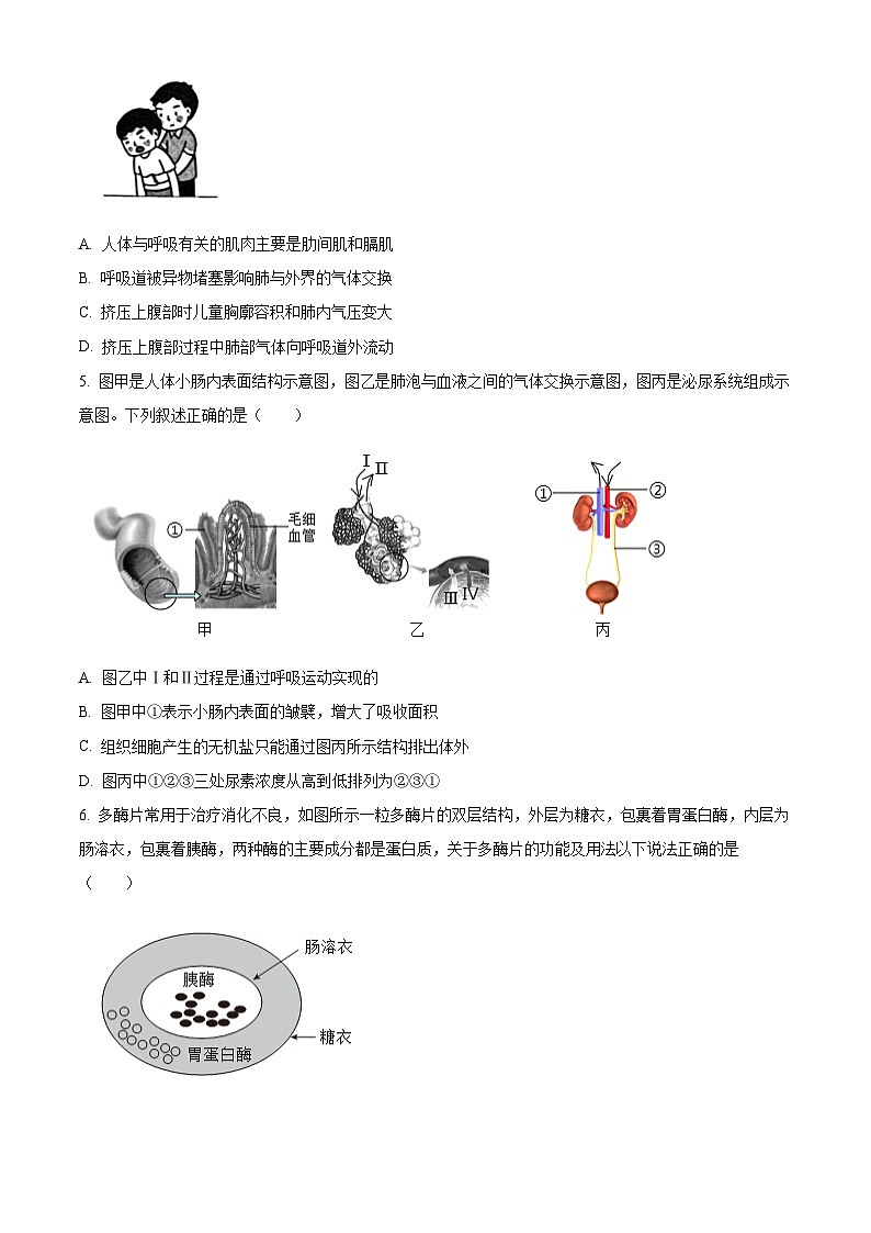 山东省德州市陵城区2023-2024学年七年级下学期期末生物学试题(原卷版)第2页