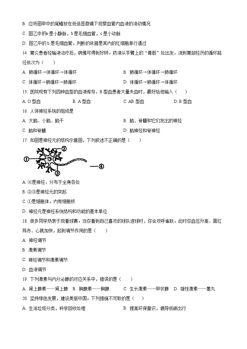 吉林省延邊敦化市2023-2024學(xué)年七年級下學(xué)期期末生物學(xué)試題（原卷版）第3頁
