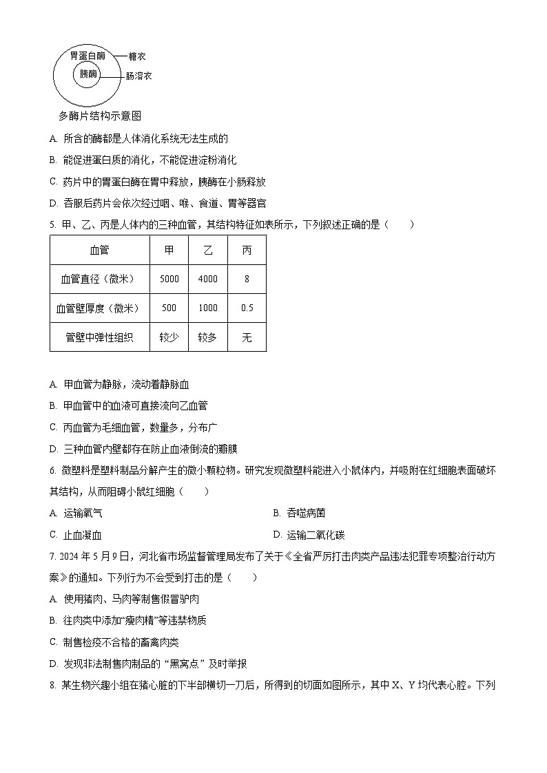河北省保定市阜平县2023-2024学年七年级下学期期末生物学试题(原卷版)第2页