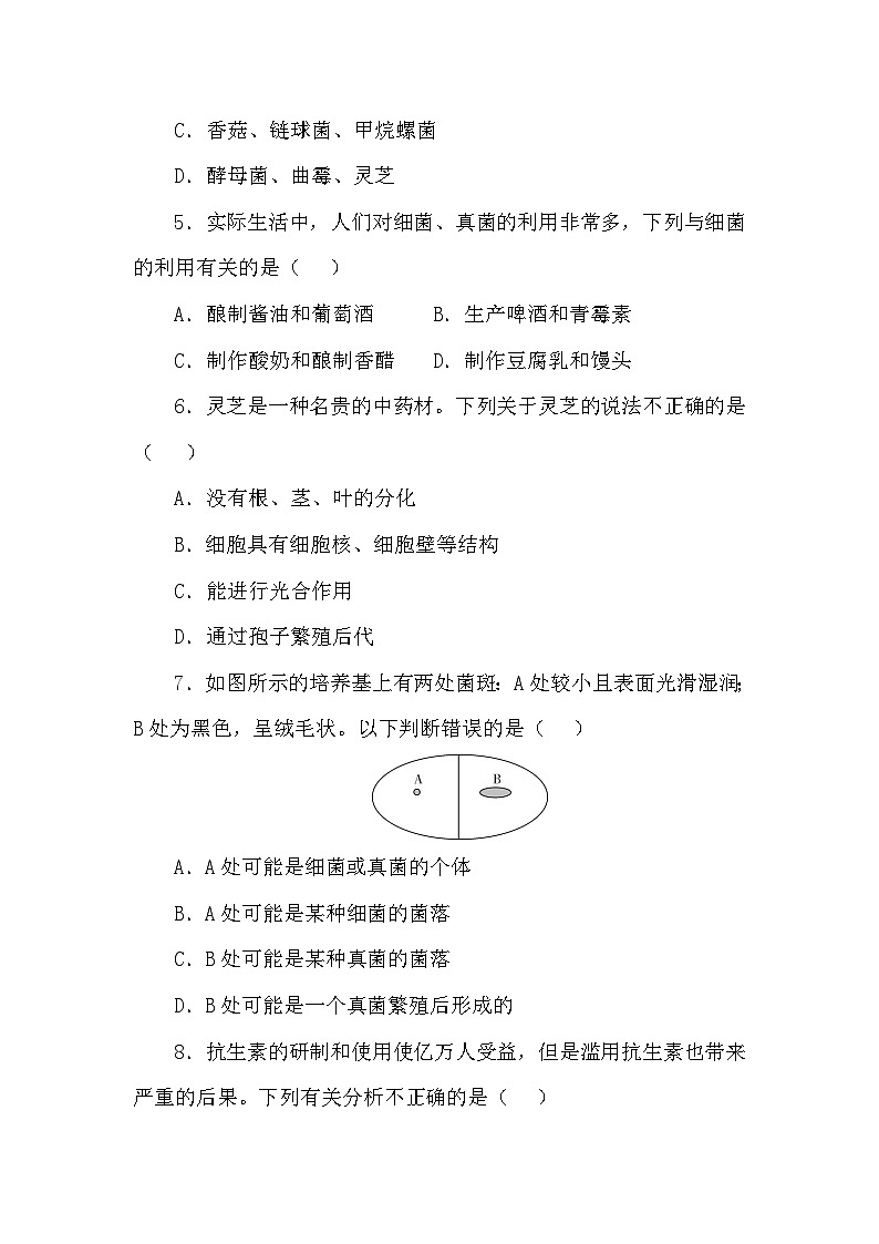 冀少版(2024)七年级上册生物第二单元第二、三、四章学情评估测试卷(含答案)02