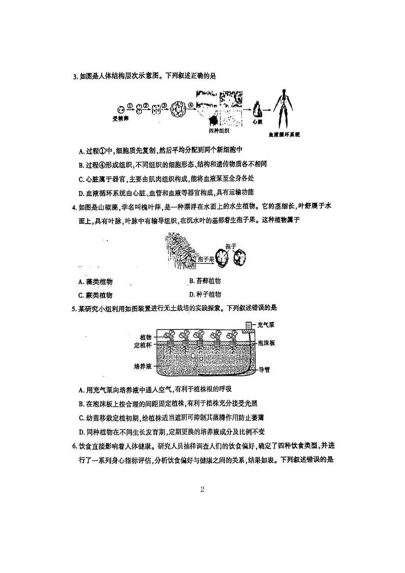 2024年山东省泰安市中考生物试题及答案解析02