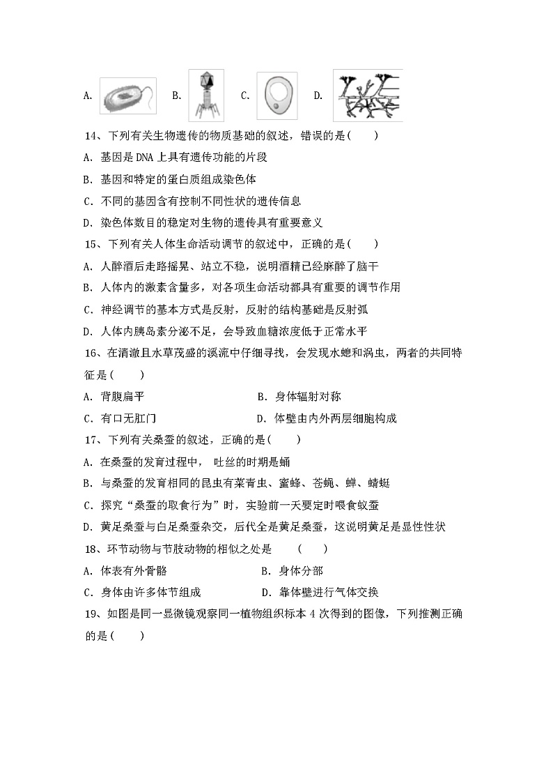 北师大版八年级生物上册期中考试卷(含答案)第3页