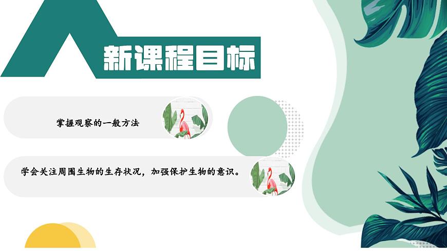 【核心素養(yǎng)】人教版生物七年級(jí)上冊 1.1.1 觀察周邊環(huán)境中的生物（教學(xué)課件）第3頁