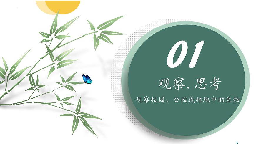 【核心素養(yǎng)】人教版生物七年級(jí)上冊 1.1.1 觀察周邊環(huán)境中的生物（教學(xué)課件）第4頁
