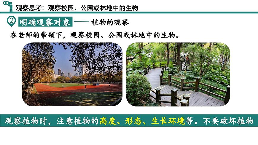 【核心素養(yǎng)】人教版生物七年級(jí)上冊 1.1.1 觀察周邊環(huán)境中的生物（教學(xué)課件）第7頁