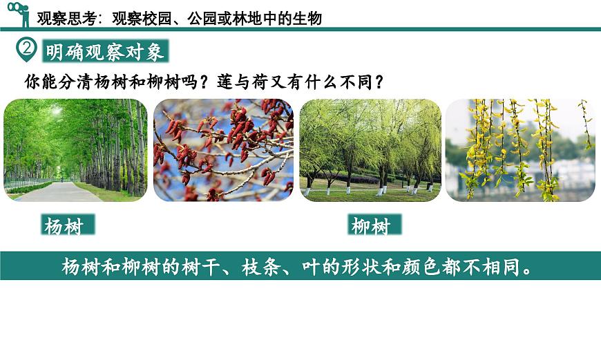 【核心素養(yǎng)】人教版生物七年級(jí)上冊 1.1.1 觀察周邊環(huán)境中的生物（教學(xué)課件）第8頁