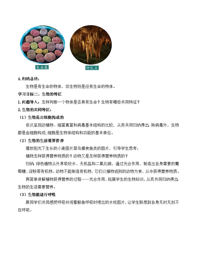 【核心素养】人教版生物七年级上册 1.1.2 生物的特征(教学课件+同步教案+同步练习)03
