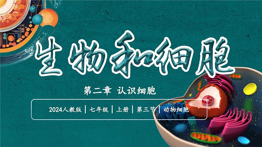 【核心素養(yǎng)】人教版生物七年級(jí)上冊(cè) 1.2.3 動(dòng)物細(xì)胞（教學(xué)課件）第1頁(yè)
