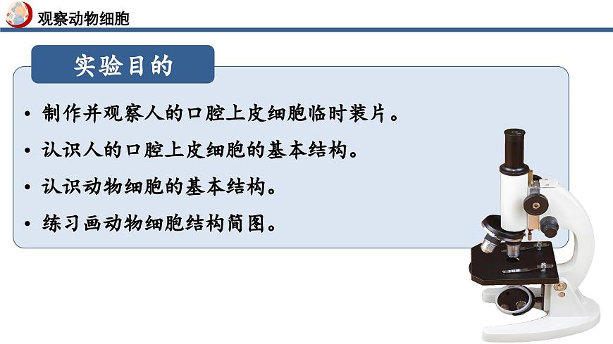 【核心素養(yǎng)】人教版生物七年級(jí)上冊(cè) 1.2.3 動(dòng)物細(xì)胞（教學(xué)課件）第7頁(yè)