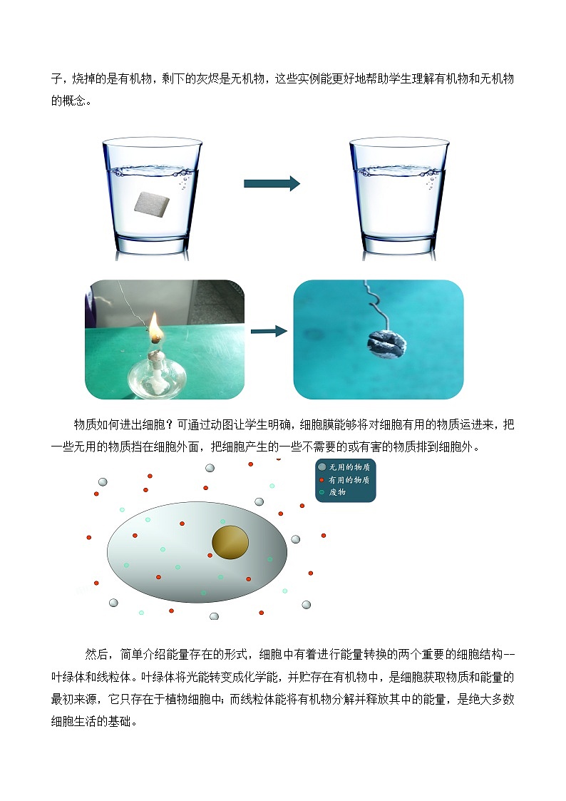 【核心素养】人教版生物七年级上册 1.2.4 细胞的生活(教学课件+同步教案+同步练习)02