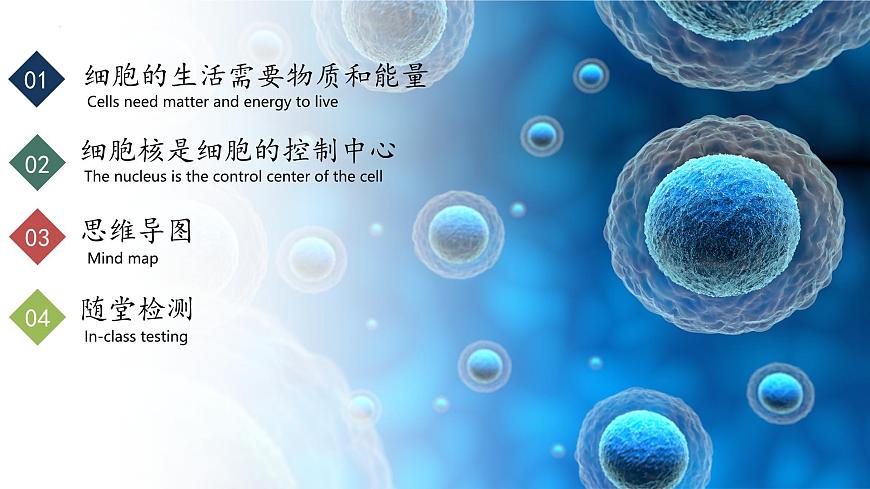 【核心素養(yǎng)】人教版生物七年級(jí)上冊(cè) 1.2.4 細(xì)胞的生活（教學(xué)課件）第2頁(yè)